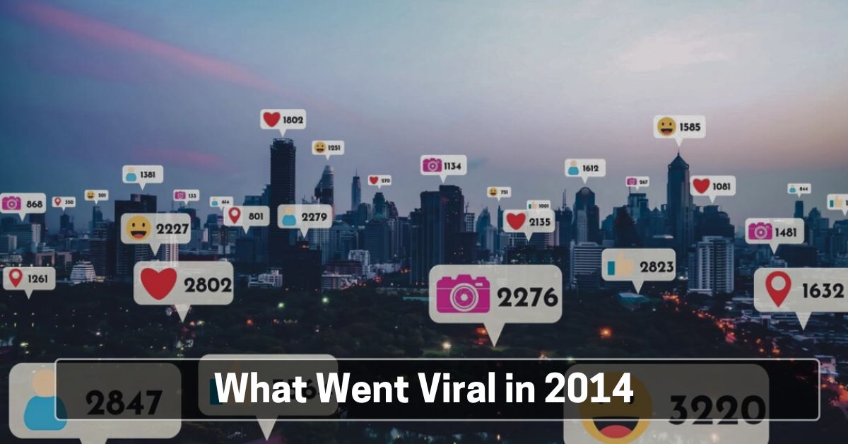 What Went Viral in 2014